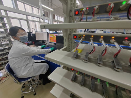 中國首創！洛陽牡丹殼變廢為寶，開啟鈉電池負極材料新紀元